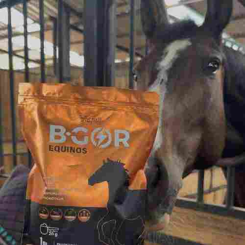 Clientes B-GOR Colombia - Mejores suplementos para caballos con Registro ICA